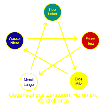 Normales, gesundes gegenseitiges Hemmen oder Kontrollieren