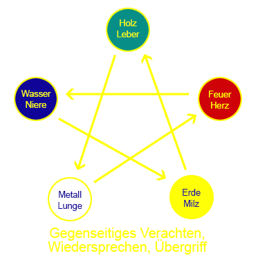 Verachten und Mißachten der Kontrolle, Widersprechen, Übergriff, Schädigen des Kontrolleurs