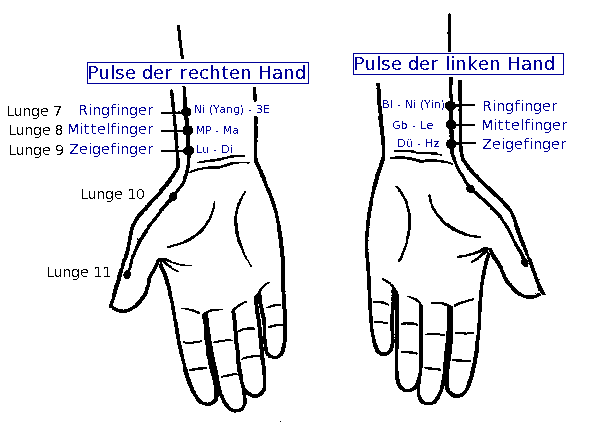 Pulsdiagnose